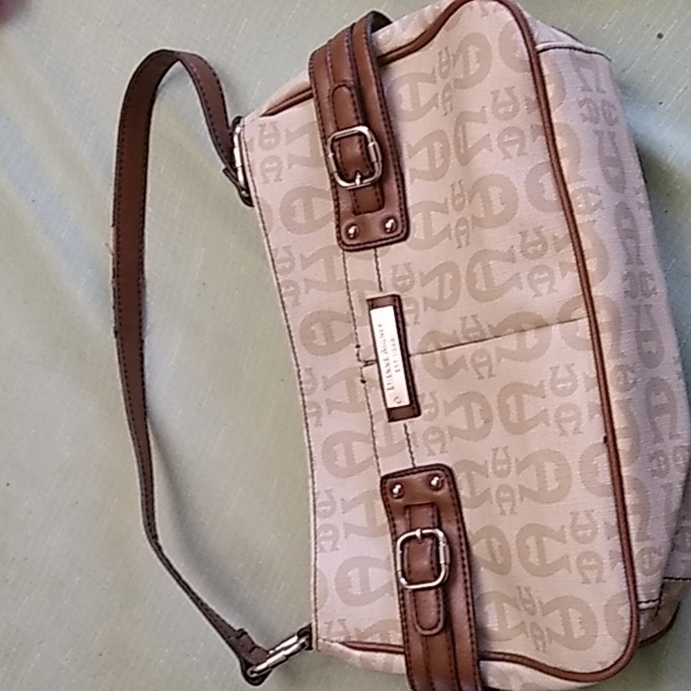 Etienne Aigner purse